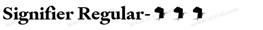 Signifier Regular字体转换 Signifier Regular字体转换